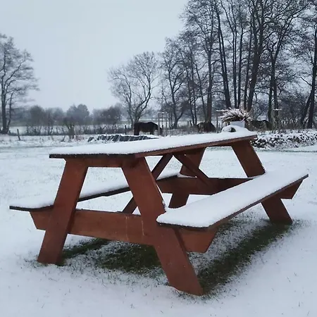 Дом отдыха Emsgold Oberlangen