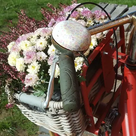 Hébergement de vacances Emsgold *