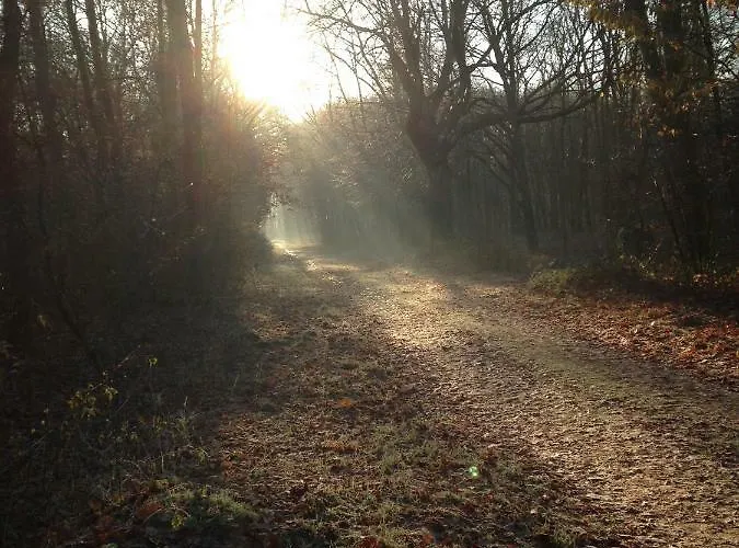 Emsgold Σπίτι διακοπών *