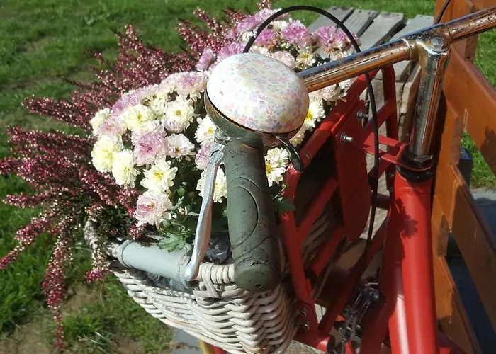 Σπίτι διακοπών Emsgold *