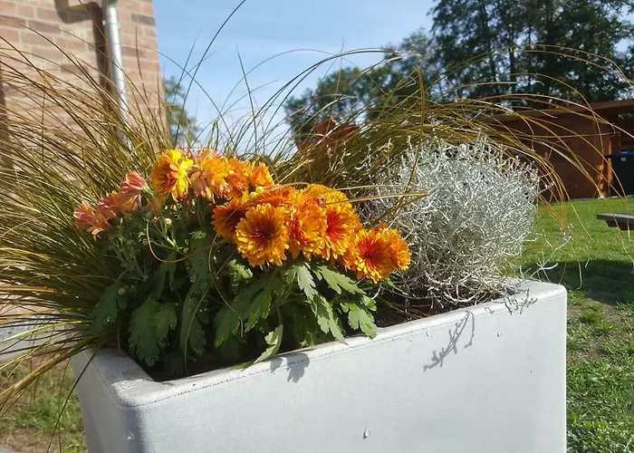 Emsgold Σπίτι διακοπών Oberlangen